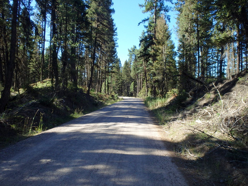 GDMBR: We were southbound along Morrell Creek, MT.